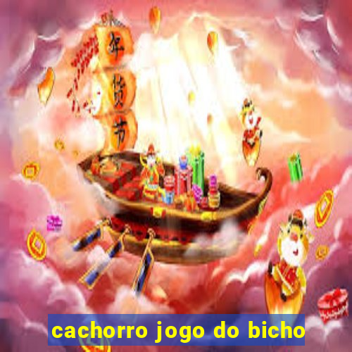 cachorro jogo do bicho