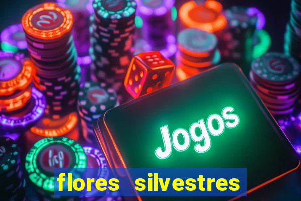 flores silvestres desbravadores desbravadores 25 flores silvestres e seus nomes