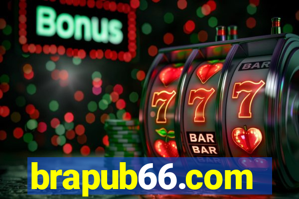 brapub66.com