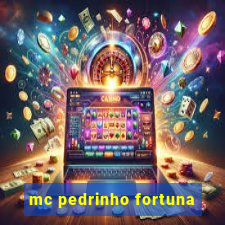 mc pedrinho fortuna