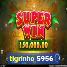 tigrinho 5956