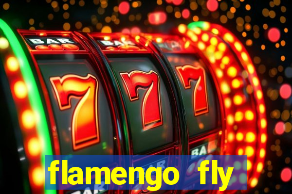 flamengo fly emirates ultimas noticias